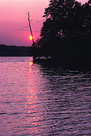Setting Sun Over the Swift Creek Reservoir, Midlothian, VA 